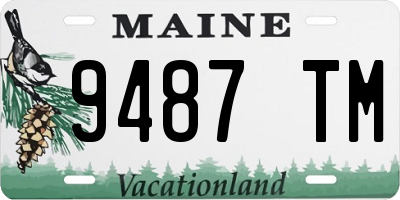 ME license plate 9487TM