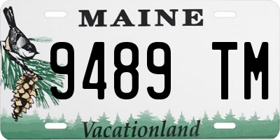 ME license plate 9489TM