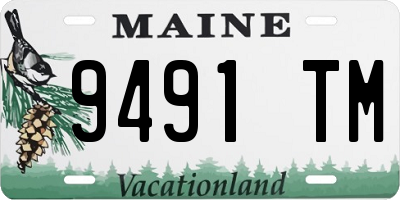 ME license plate 9491TM
