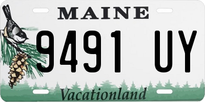 ME license plate 9491UY