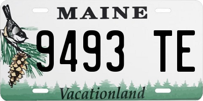 ME license plate 9493TE
