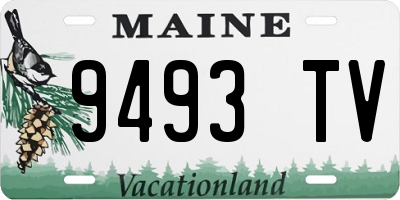 ME license plate 9493TV