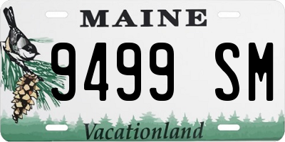 ME license plate 9499SM