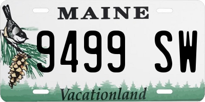 ME license plate 9499SW