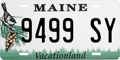 ME license plate 9499SY