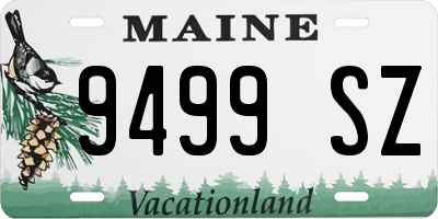 ME license plate 9499SZ