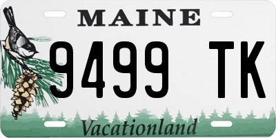 ME license plate 9499TK