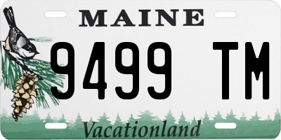 ME license plate 9499TM