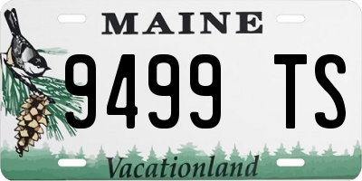 ME license plate 9499TS