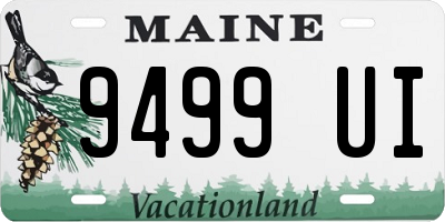 ME license plate 9499UI