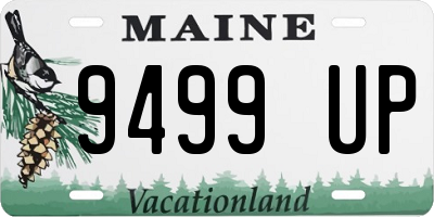 ME license plate 9499UP