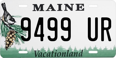 ME license plate 9499UR