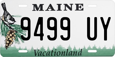 ME license plate 9499UY