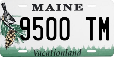ME license plate 9500TM