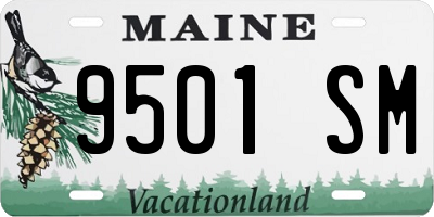 ME license plate 9501SM
