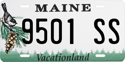 ME license plate 9501SS