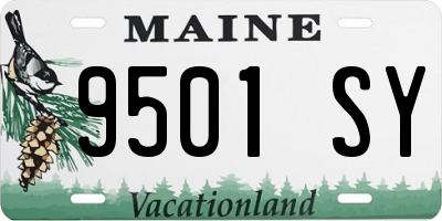 ME license plate 9501SY