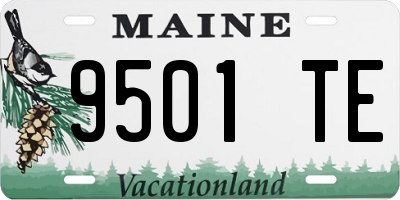 ME license plate 9501TE