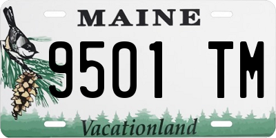 ME license plate 9501TM