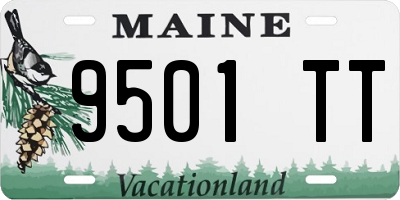 ME license plate 9501TT
