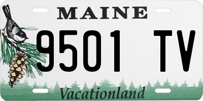 ME license plate 9501TV