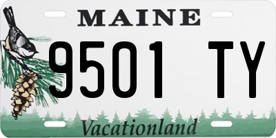 ME license plate 9501TY