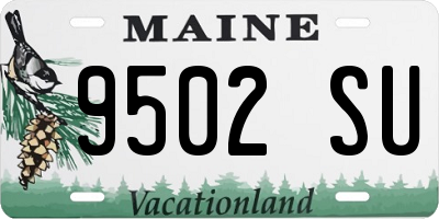 ME license plate 9502SU