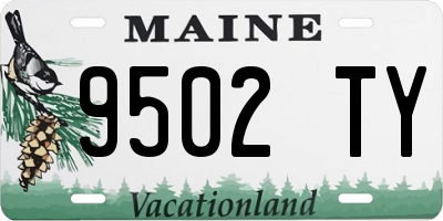 ME license plate 9502TY