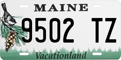 ME license plate 9502TZ
