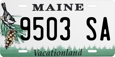 ME license plate 9503SA