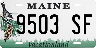 ME license plate 9503SF