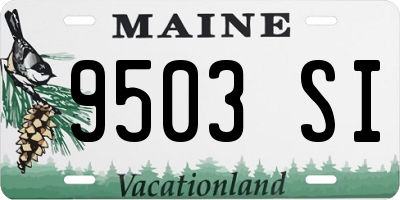 ME license plate 9503SI