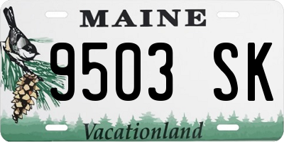 ME license plate 9503SK