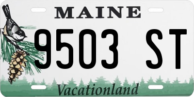 ME license plate 9503ST