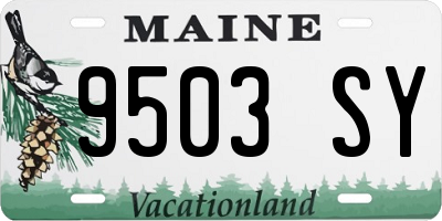ME license plate 9503SY