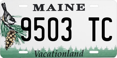 ME license plate 9503TC