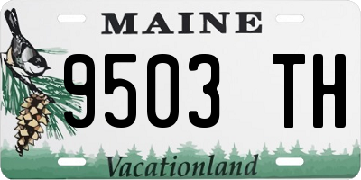 ME license plate 9503TH