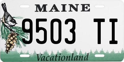 ME license plate 9503TI