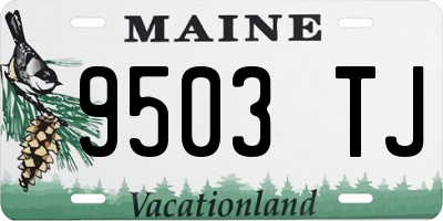 ME license plate 9503TJ