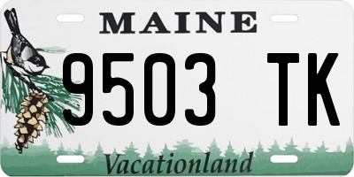 ME license plate 9503TK