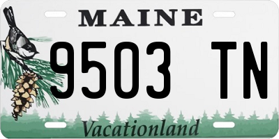 ME license plate 9503TN