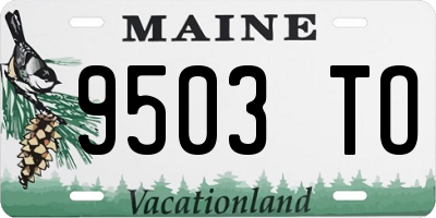 ME license plate 9503TO
