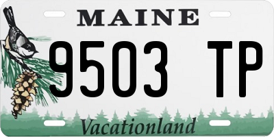 ME license plate 9503TP