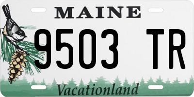ME license plate 9503TR