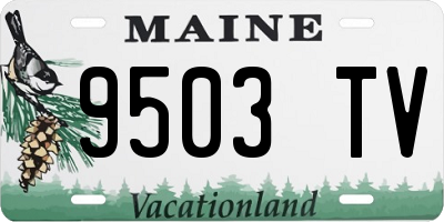 ME license plate 9503TV