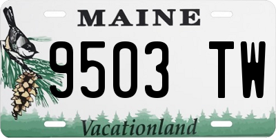 ME license plate 9503TW