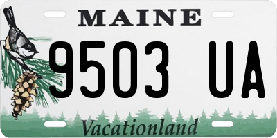 ME license plate 9503UA