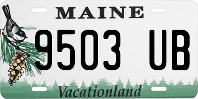 ME license plate 9503UB