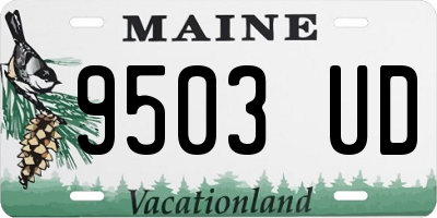 ME license plate 9503UD