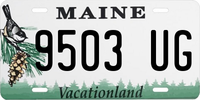 ME license plate 9503UG